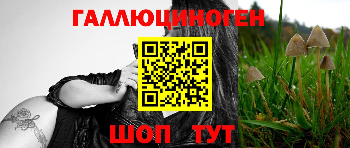 Губкинский  Галлюциногенные грибы Psilocybine cubensis  купить закладку  Вход с VPN 